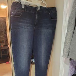 Lane Bryant Skinny Jeans - Size 22